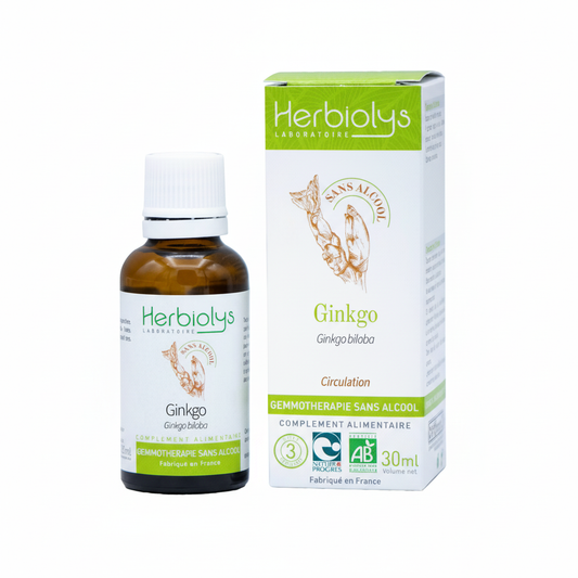 Ginkgo ss alcool 30ml