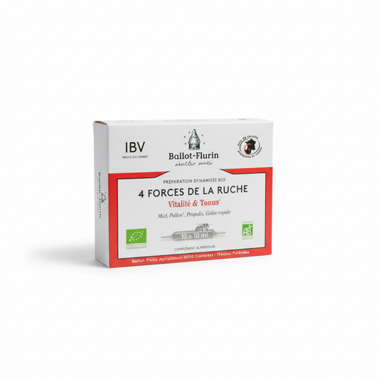 Préparation 4 forces de la ruche