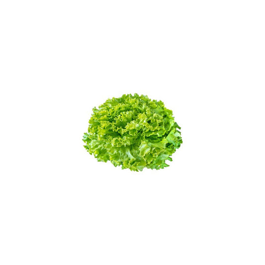 Salade mâche